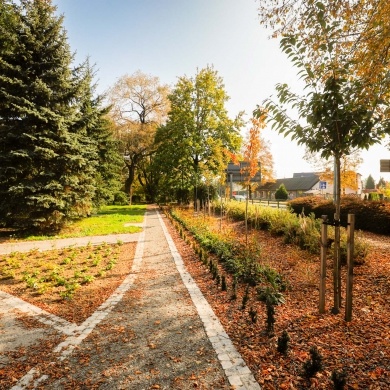 Park kieszonkowy w Pszczynie - 13.10.2022