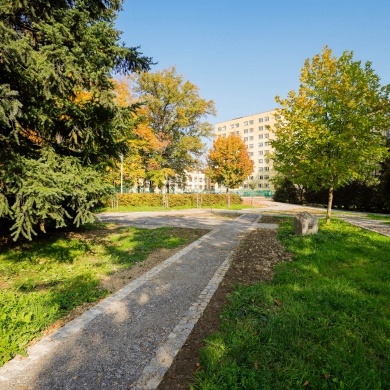 Park kieszonkowy w Pszczynie - 13.10.2022