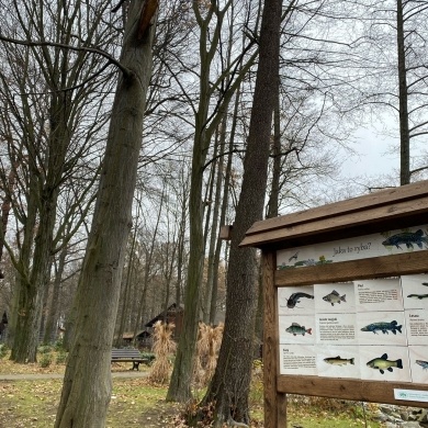 Ścieżka przyrodniczo-edukacyjna „Tajemnice Pszczyńskiej Puszczy” w Pokazowej Zagrodzie Żubrów w Pszczynie - 02.12.2022