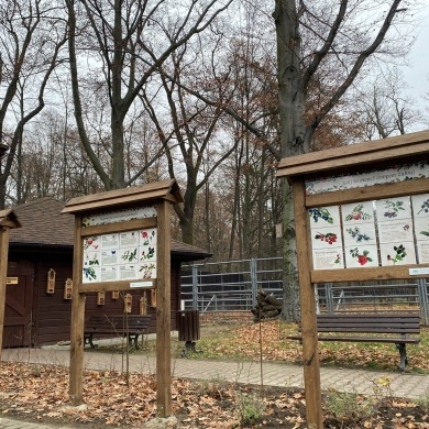 Ścieżka przyrodniczo-edukacyjna „Tajemnice Pszczyńskiej Puszczy” w Pokazowej Zagrodzie Żubrów w Pszczynie - 02.12.2022