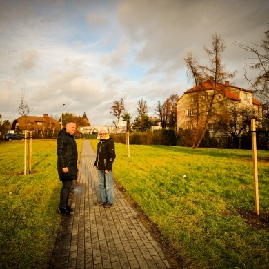 Nowe nasadzenia na osiedlu Daszyńskiego - 07.12.2022