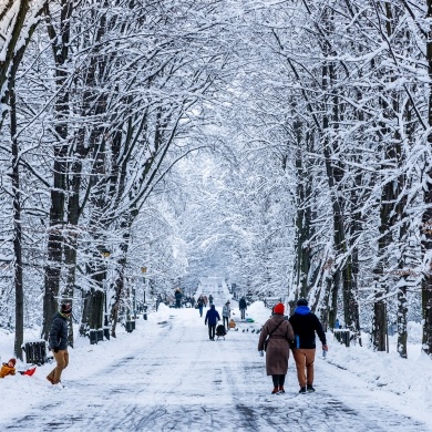 Zima w Parku Zamkowym w Pszczynie - 21.01.2022