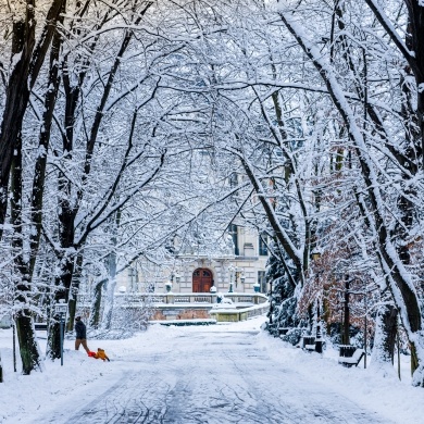 Zima w Parku Zamkowym w Pszczynie - 21.01.2022