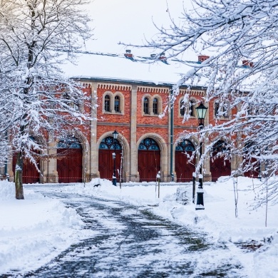 Zima w Parku Zamkowym w Pszczynie - 21.01.2022