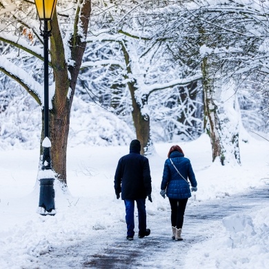Zima w Parku Zamkowym w Pszczynie - 21.01.2022