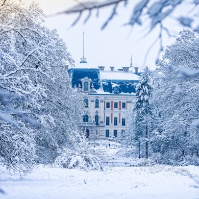 Zima w Parku Zamkowym w Pszczynie - 21.01.2022