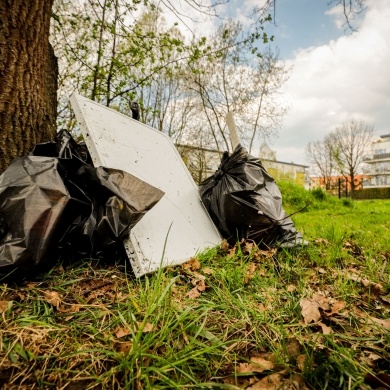 Akcja sprzątania na osiedlu Piastów w Pszczynie - 21.04.2023