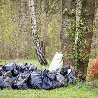 Akcja sprzątania na osiedlu Piastów w Pszczynie - 21.04.2023