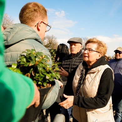 Akcja rozdawania krzewów w Pszczynie - 26.04.2023