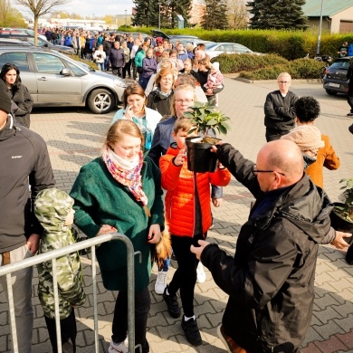 Akcja rozdawania krzewów w Pszczynie - 26.04.2023