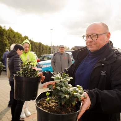 Akcja rozdawania krzewów w Pszczynie - 26.04.2023