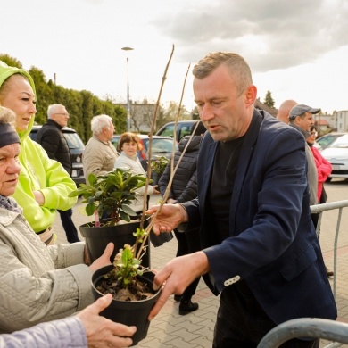 Akcja rozdawania krzewów w Pszczynie - 26.04.2023