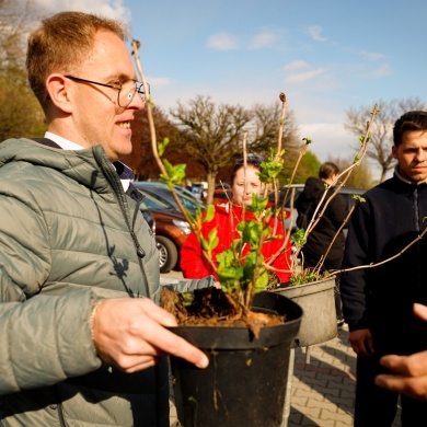 Akcja rozdawania krzewów w Pszczynie - 26.04.2023