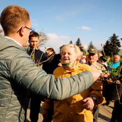 Akcja rozdawania krzewów w Pszczynie - 26.04.2023
