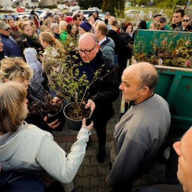 Akcja rozdawania krzewów w Pszczynie - 26.04.2023