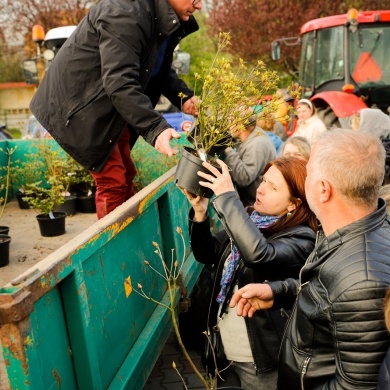 Akcja rozdawania krzewów w Pszczynie - 26.04.2023