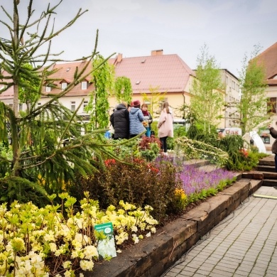 Ogrody Daisy w Pszczynie - 19.05.2023