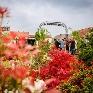 Ogrody Daisy w Pszczynie - 19.05.2023
