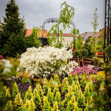 Ogrody Daisy w Pszczynie - 19.05.2023