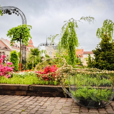 Ogrody Daisy w Pszczynie - 19.05.2023