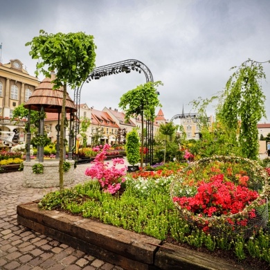Ogrody Daisy w Pszczynie - 19.05.2023
