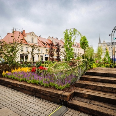 Ogrody Daisy w Pszczynie - 19.05.2023