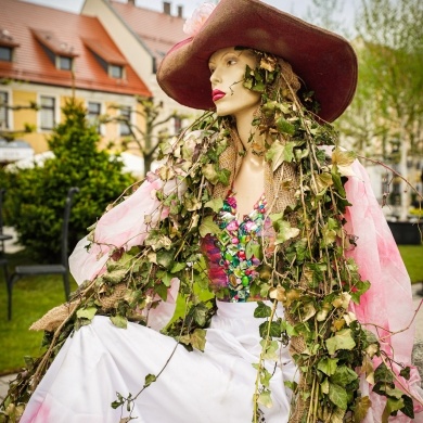 Ogrody Daisy w Pszczynie - 19.05.2023