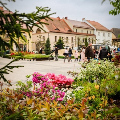 Ogrody Daisy w Pszczynie - 19.05.2023