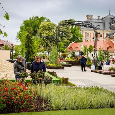 Ogrody Daisy w Pszczynie - 19.05.2023