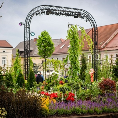 Ogrody Daisy w Pszczynie - 19.05.2023