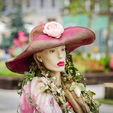 Ogrody Daisy w Pszczynie - 19.05.2023