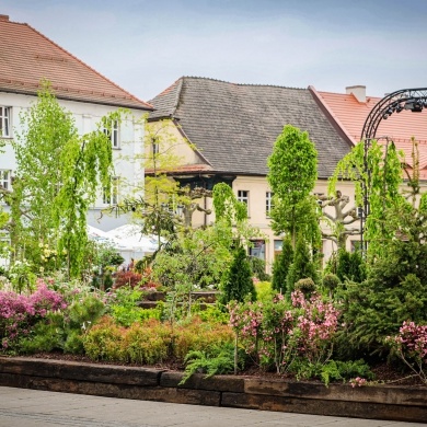 Ogrody Daisy w Pszczynie - 19.05.2023