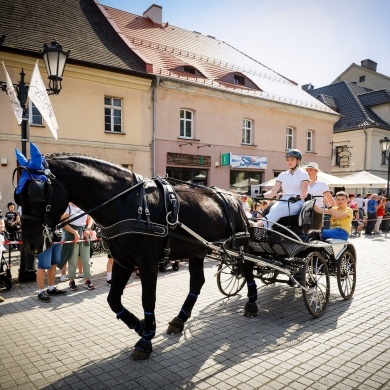 Majówka Konna w Pszczynie - 21.05.2023