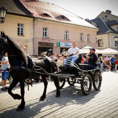 Majówka Konna w Pszczynie - 21.05.2023