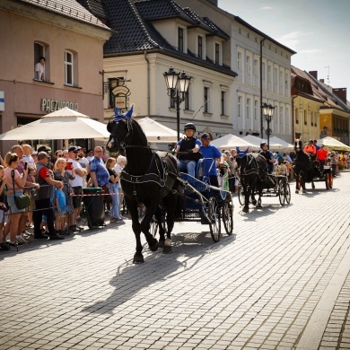 Majówka Konna w Pszczynie - 21.05.2023