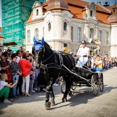 Majówka Konna w Pszczynie - 21.05.2023