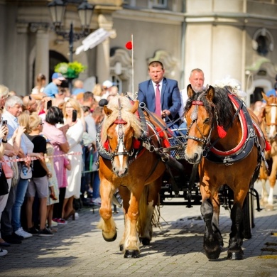 Majówka Konna w Pszczynie - 21.05.2023