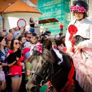 Majówka Konna w Pszczynie - 21.05.2023