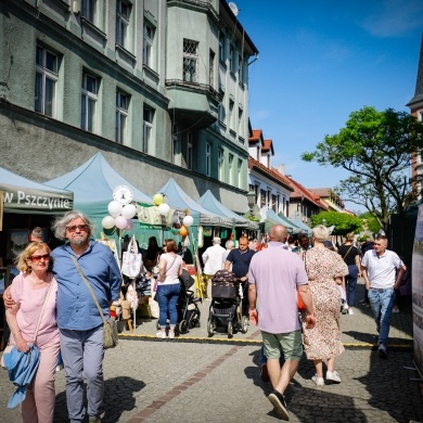 Festiwal Pszczyńskich Organizacji Pozarządowych w Pszczynie - 21.05.2023