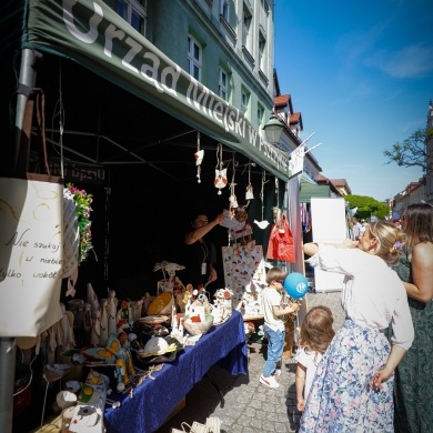 Festiwal Pszczyńskich Organizacji Pozarządowych w Pszczynie - 21.05.2023