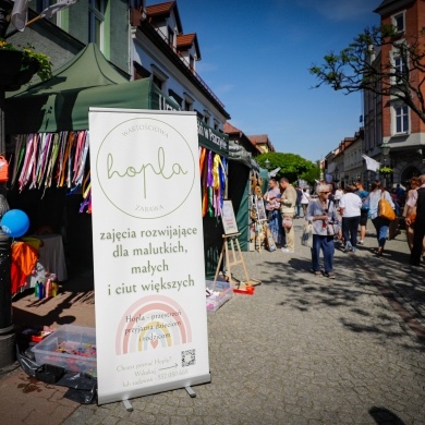 Festiwal Pszczyńskich Organizacji Pozarządowych w Pszczynie - 21.05.2023