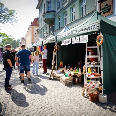 Festiwal Pszczyńskich Organizacji Pozarządowych w Pszczynie - 21.05.2023