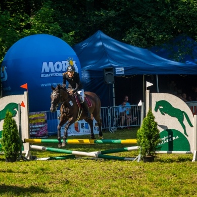 Zawody konne Pless Cup - 13.08.2023