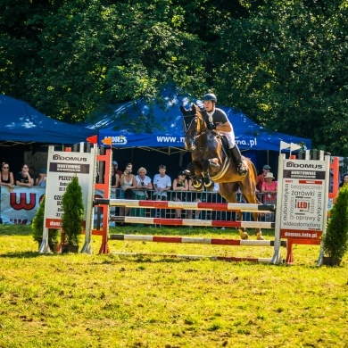 Zawody konne Pless Cup - 13.08.2023