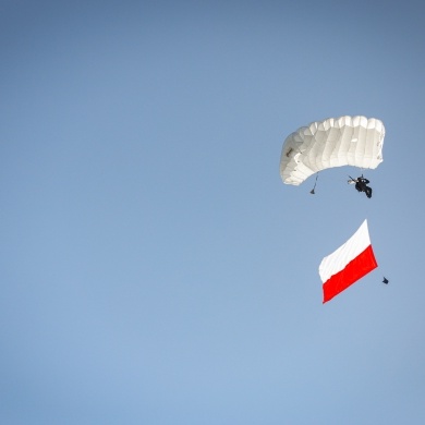 Święto Wojska Polskiego w Pszczynie - 12.08.2023