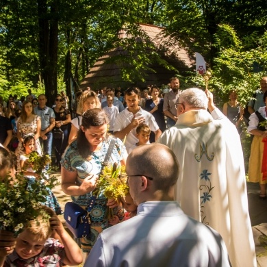 Święto Ziół w Pszczynie - 15.08.2023