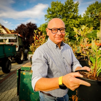 Akcja rozdawania krzewów w Pszczynie - 03.10.2023