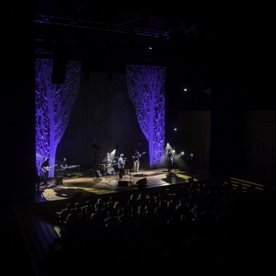 Koncert Pawła Domagały w Pszczyńskim Centrum Kultury - 18.02.2024