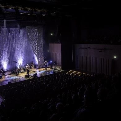 Koncert Pawła Domagały w Pszczyńskim Centrum Kultury - 18.02.2024