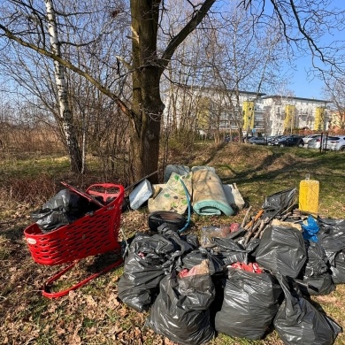 Społeczna akcja sprzątania lasu na osiedlu Piastów - 09.03.2024